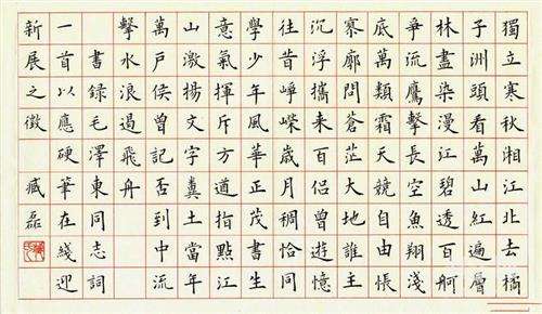 书法培训