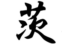 书法培训班