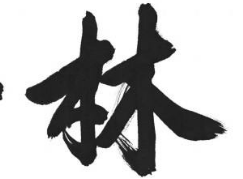 书法培训班