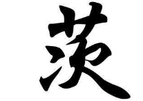 书法培训班