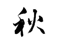 书法培训班