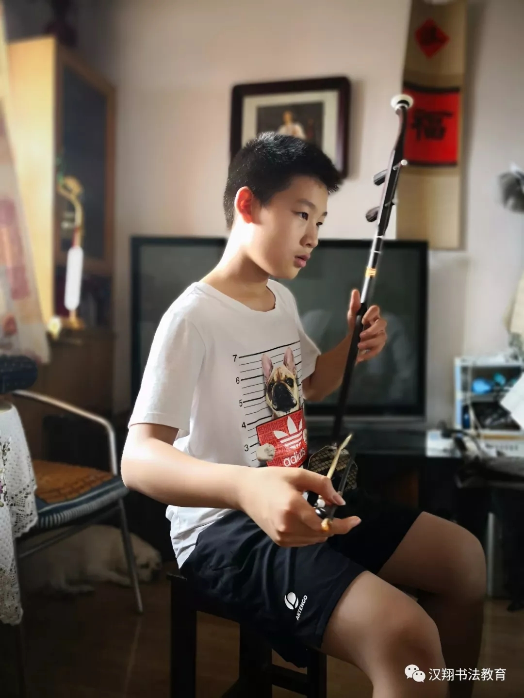 少儿古筝培训班