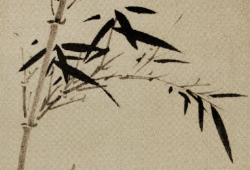 国画培训