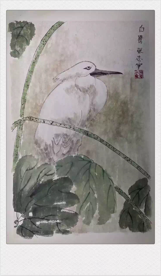 《白鹭》张志宇,7岁