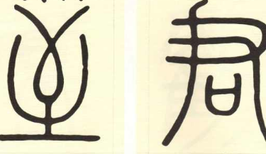 书法培训